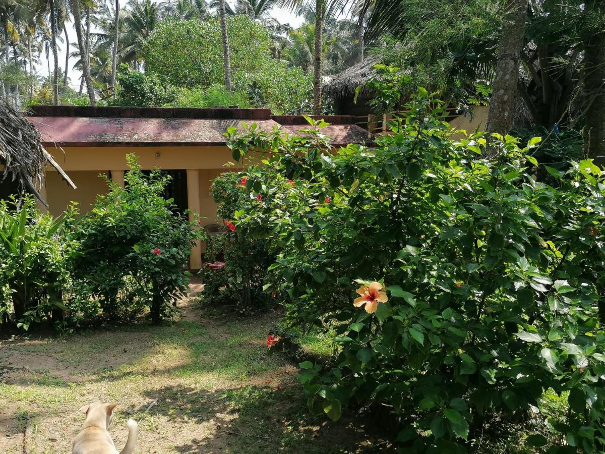 Sukriti Beach Resort Varkala Eksteriør billede